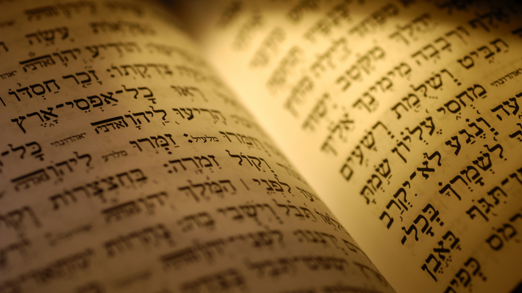 Hebrew,Bible,Textl,-,Jewish,Related,Item