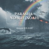 ENG- Parashá Noach cabecera (300 x 300 mm)