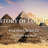 Parasha Miketz - Header 2