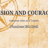 Header Shelach Lekha